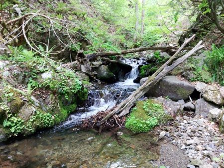 ＧＷ終盤の渓流で苦戦 ～長良川水系～